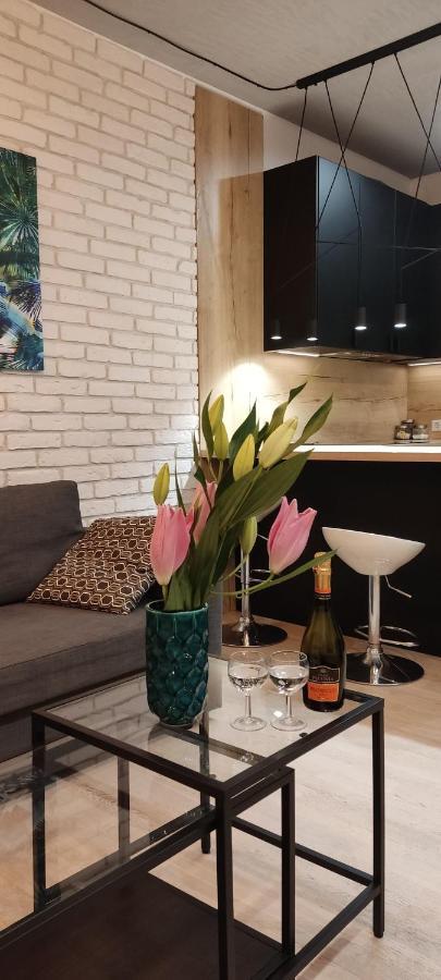 Be My Guest- Fontany Luxury Apartment Metro Wi-Fi Free Parking Zone Varsovie Extérieur photo